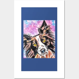 COLLIE Posters and Art